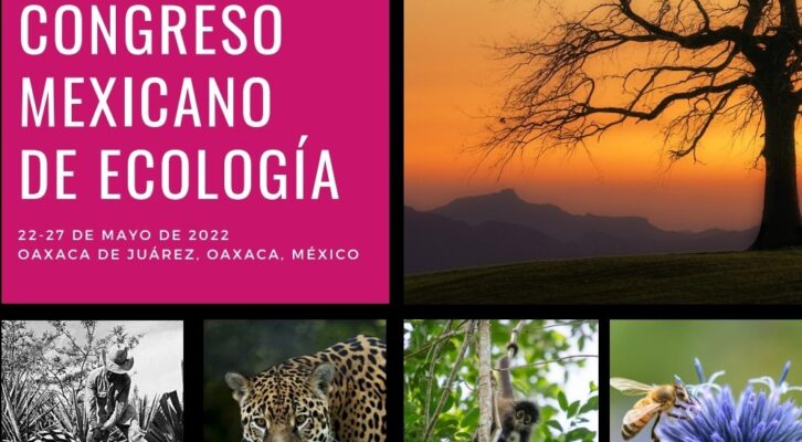 Oaxaca, sede del VIII Congreso Mexicano de Ecología (23:31 h)