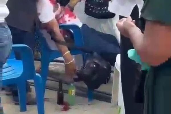 Fiesta patronal termina en tragedia: ataque armado deja tres muertos y un herido en Zanatepec (21:03 h)
