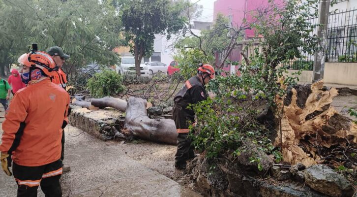 Atienden de manera coordinada afectaciones ocasionadas por las lluvias (16:45 h)