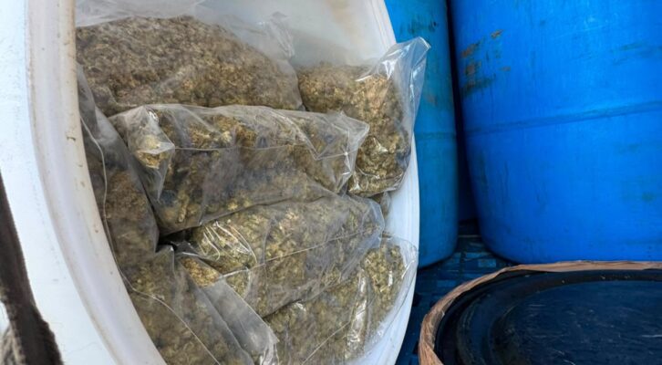 Golpe al tráfico de drogas en Niltepec: aseguran 1.6 toneladas de presunta marihuana (20:30 h)