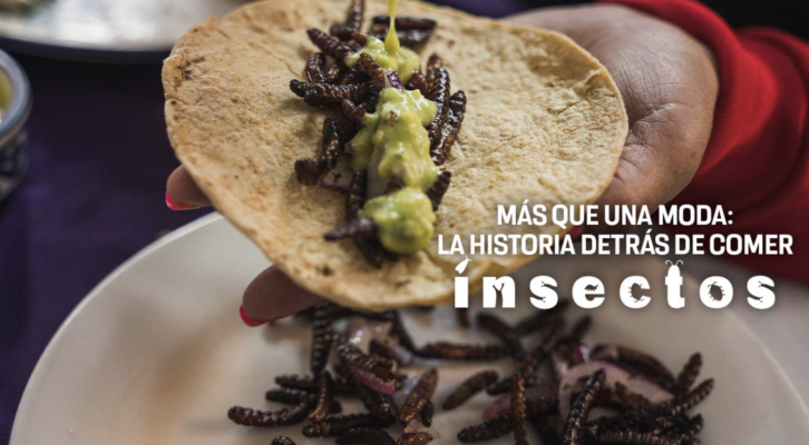 El consumo tradicional de insectos en México: entre el patrimonio cultural, la gastronomía y la comercialización (14:00 h)