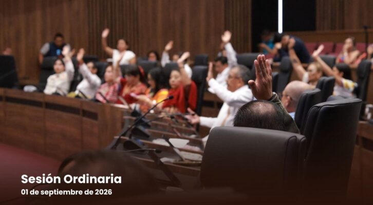 Aprueba diputados exhorto para proteger zonas de anidación de tortugas marinas y regular vehículos todo terreno en playas (15:30 h)