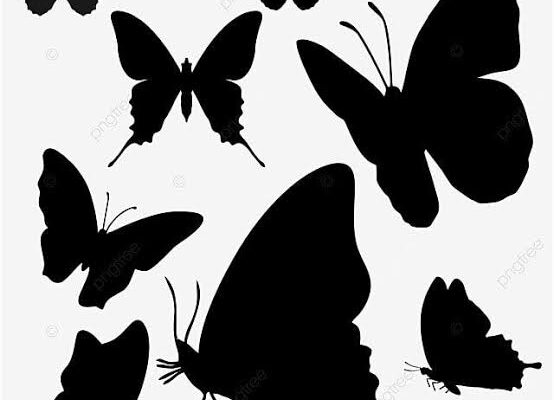 ¿Por qué entran las mariposas negras a las casas? (21:00 h)