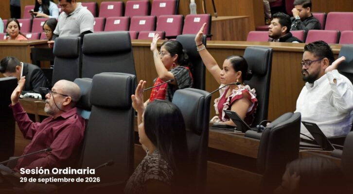 Aprueban diputados reforma al Código Penal para agravar penas por el uso de drones para cometer delitos  (15:30 h)