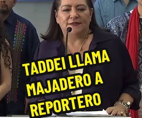 Guadalupe Taddei no soporta las preguntas y califica de majaderos a los periodistas (18:00 h)